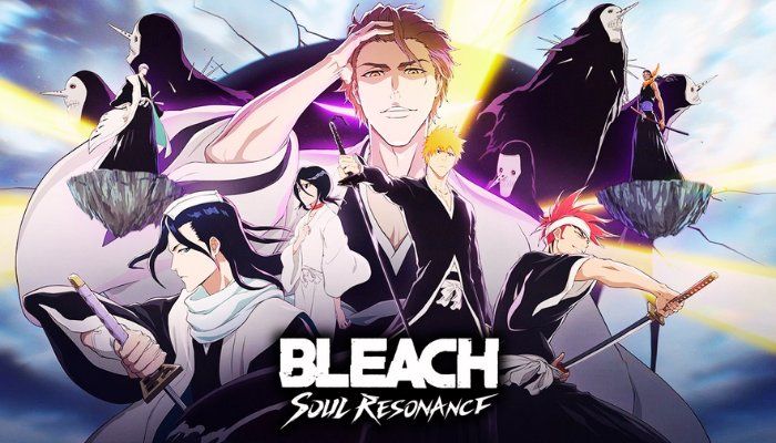 Bleach: Soul Resonance